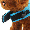 SharkPal - Dog Safety Vest