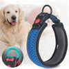 PoochDazzle - Reflective Dog Collar