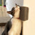 KatKleene - Cat Self Groomer