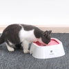AquaPaws – No-Spill Floating Pet Bowl