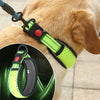 PoochDazzle - Reflective Dog Collar