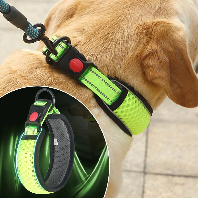 PoochDazzle - Reflective Dog Collar